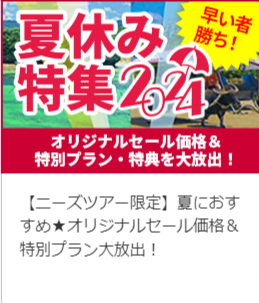 格安国内旅行・国内ツアーのニーズツアー (3)